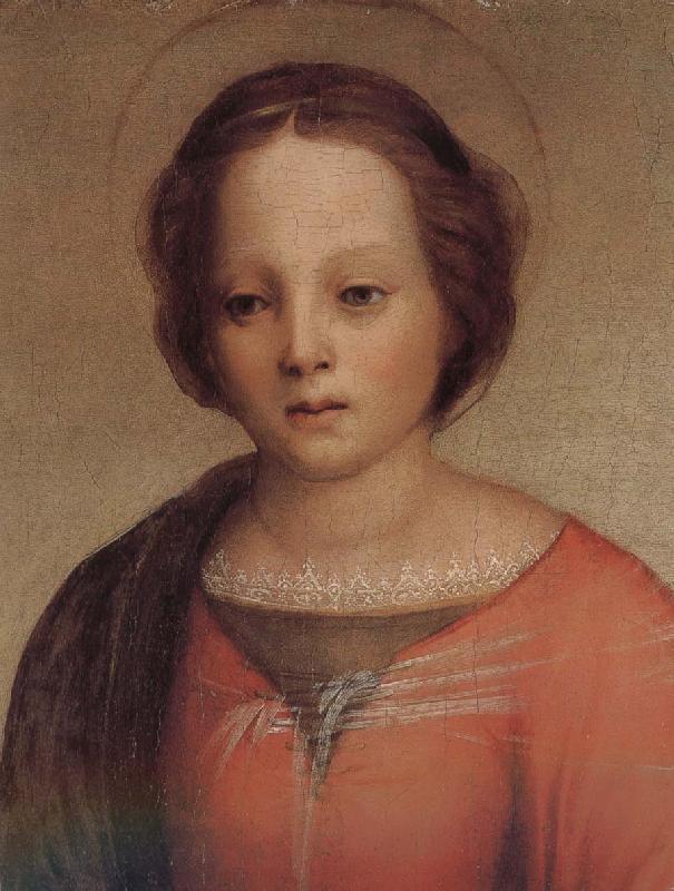 Andrea del Sarto Mary in detail Sweden oil painting art